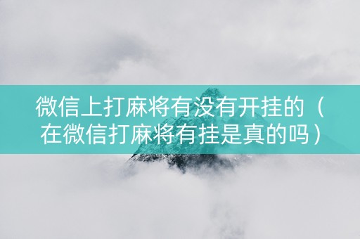 微信上打麻将有没有开挂的（在微信打麻将有挂是真的吗）