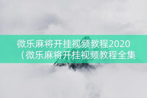 微乐麻将开挂视频教程2020（微乐麻将开挂视频教程全集）