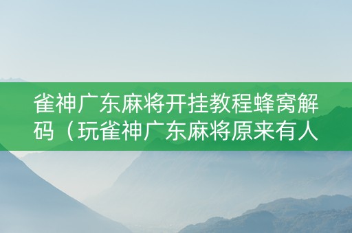 雀神广东麻将开挂教程蜂窝解码（玩雀神广东麻将原来有人用开挂,小心有炸!）