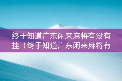 终于知道广东闲来麻将有没有挂（终于知道广东闲来麻将有没有挂了）