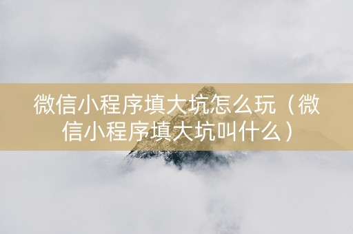 微信小程序填大坑怎么玩（微信小程序填大坑叫什么）