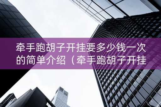 牵手跑胡子开挂要多少钱一次的简单介绍（牵手跑胡子开挂神器）