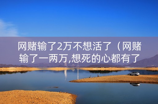 网赌输了2万不想活了（网赌输了一两万,想死的心都有了）