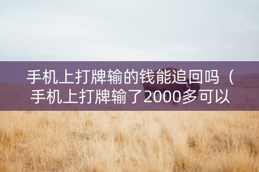 手机上打牌输的钱能追回吗（手机上打牌输了2000多可以告对方吗）