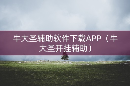 牛大圣辅助软件下载APP（牛大圣开挂辅助）