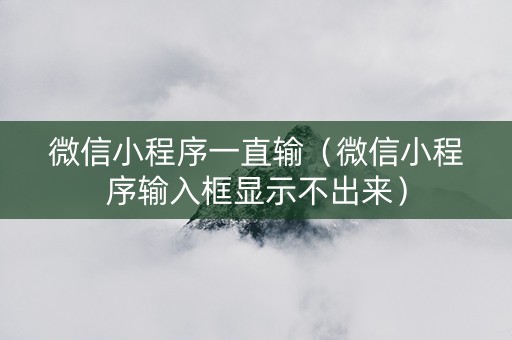 微信小程序一直输（微信小程序输入框显示不出来）