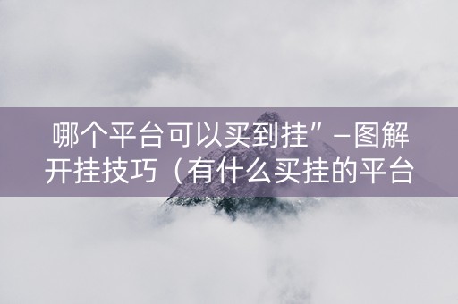 哪个平台可以买到挂”—图解开挂技巧（有什么买挂的平台）