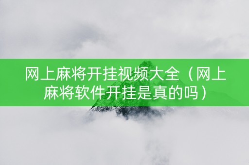 网上麻将开挂视频大全（网上麻将软件开挂是真的吗）