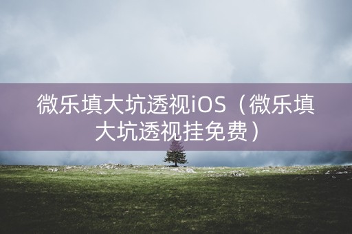 微乐填大坑透视iOS（微乐填大坑透视挂免费）