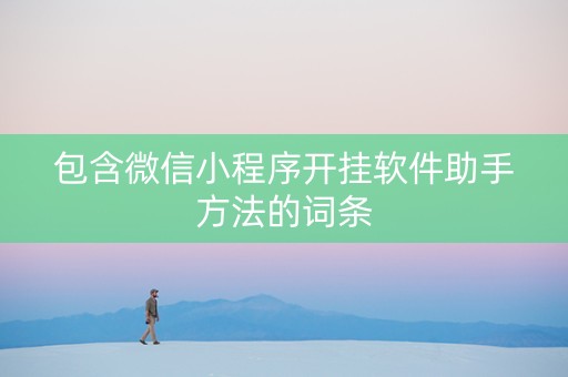 包含微信小程序开挂软件助手方法的词条