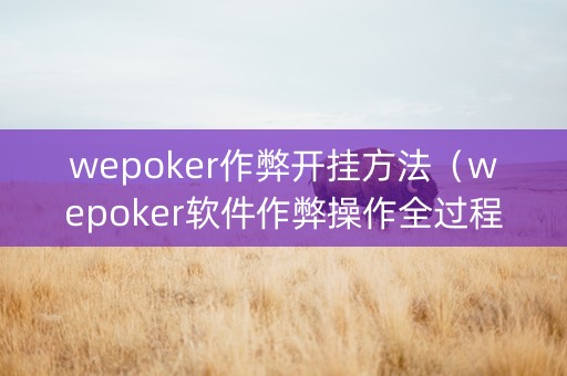 wepoker作弊开挂方法（wepoker软件作弊操作全过程辅助原来这么简单）