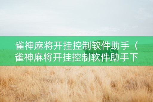 雀神麻将开挂控制软件助手（雀神麻将开挂控制软件助手下载安装）