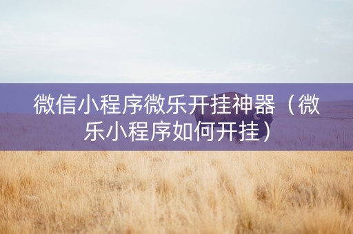 微信小程序微乐开挂神器（微乐小程序如何开挂）