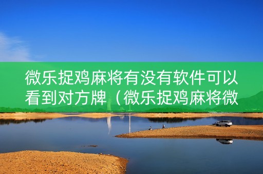 微乐捉鸡麻将有没有软件可以看到对方牌（微乐捉鸡麻将微信）