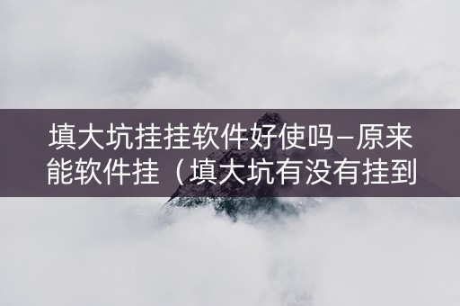 填大坑挂挂软件好使吗—原来能软件挂（填大坑有没有挂到底有挂吗）