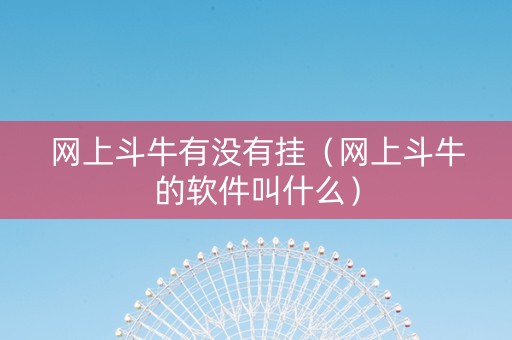 网上斗牛有没有挂（网上斗牛的软件叫什么）