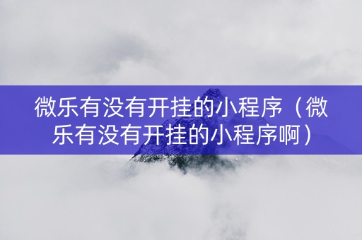 微乐有没有开挂的小程序（微乐有没有开挂的小程序啊）