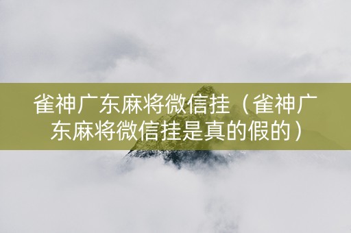 雀神广东麻将微信挂（雀神广东麻将微信挂是真的假的）