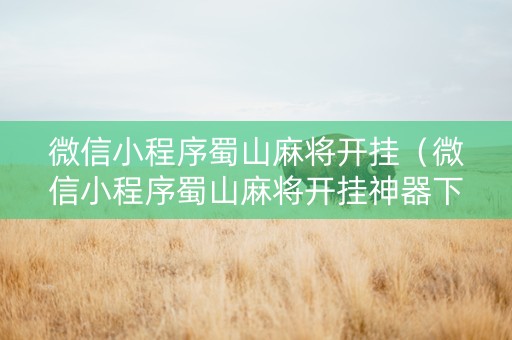 微信小程序蜀山麻将开挂（微信小程序蜀山麻将开挂神器下载安装）