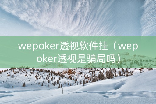 wepoker透视软件挂（wepoker透视是骗局吗）