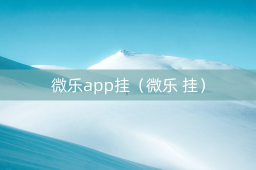 微乐app挂（微乐 挂）