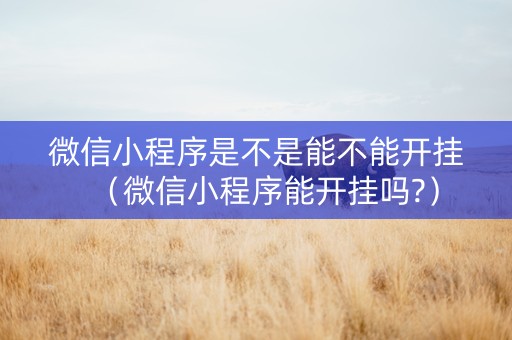 微信小程序是不是能不能开挂（微信小程序能开挂吗?）