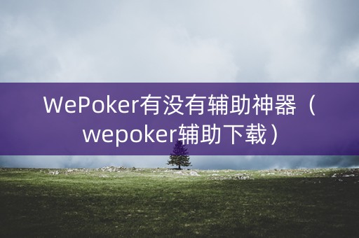 WePoker有没有辅助神器（wepoker辅助下载）