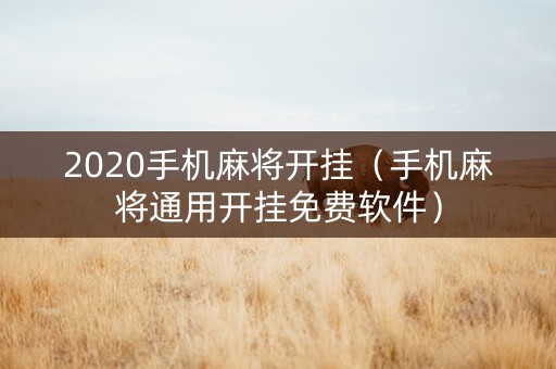 2020手机麻将开挂（手机麻将通用开挂免费软件）