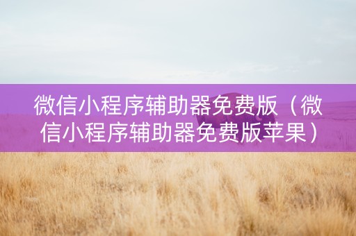 微信小程序辅助器免费版（微信小程序辅助器免费版苹果）