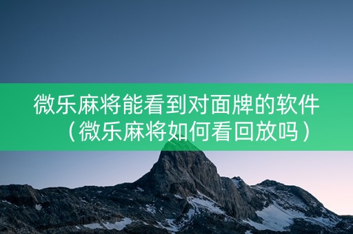 微乐麻将能看到对面牌的软件（微乐麻将如何看回放吗）