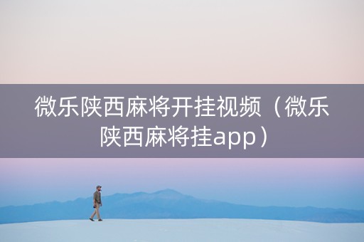 微乐陕西麻将开挂视频（微乐陕西麻将挂app）