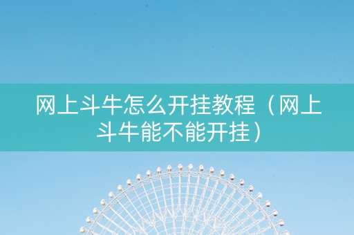 网上斗牛怎么开挂教程（网上斗牛能不能开挂）