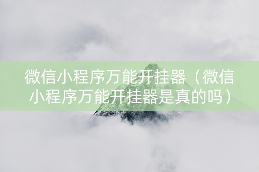 微信小程序万能开挂器（微信小程序万能开挂器是真的吗）