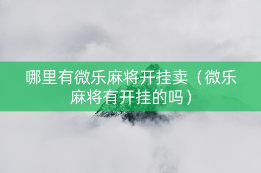 哪里有微乐麻将开挂卖（微乐麻将有开挂的吗）