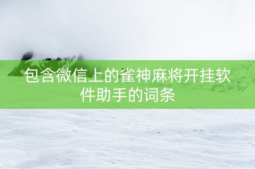 包含微信上的雀神麻将开挂软件助手的词条