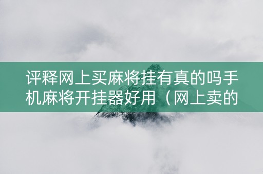 评释网上买麻将挂有真的吗手机麻将开挂器好用（网上卖的麻将挂真的好使吗）