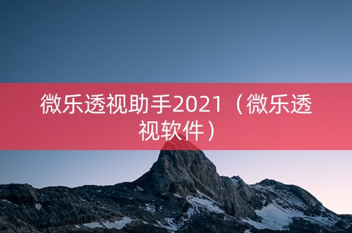 微乐透视助手2021（微乐透视软件）