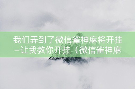 我们弄到了微信雀神麻将开挂—让我教你开挂（微信雀神麻将开挂神器下载软件）