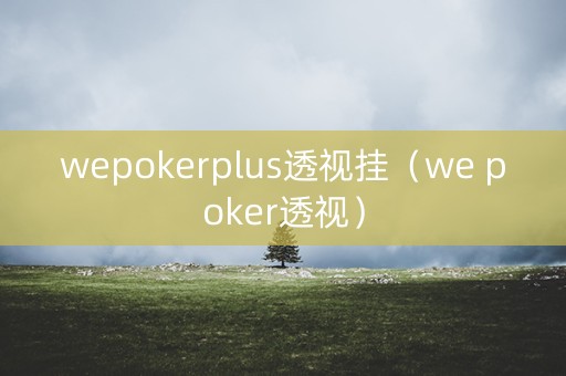 wepokerplus透视挂（we poker透视）