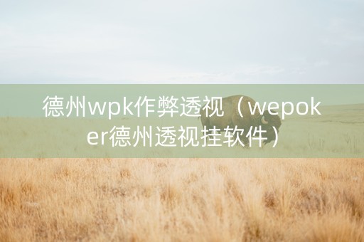 德州wpk作弊透视（wepoker德州透视挂软件）