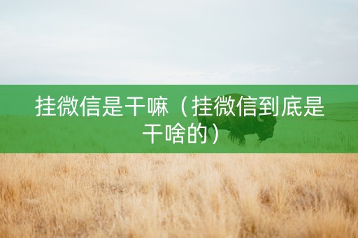 挂微信是干嘛（挂微信到底是干啥的）