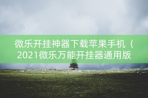 微乐开挂神器下载苹果手机（2021微乐万能开挂器通用版）