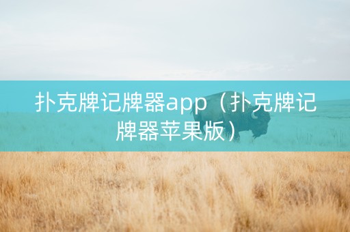 扑克牌记牌器app（扑克牌记牌器苹果版）