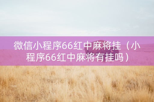 微信小程序66红中麻将挂（小程序66红中麻将有挂吗）