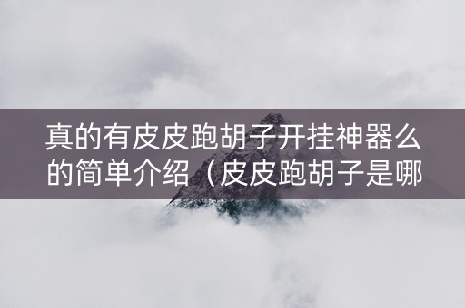 真的有皮皮跑胡子开挂神器么的简单介绍（皮皮跑胡子是哪个公司开发）