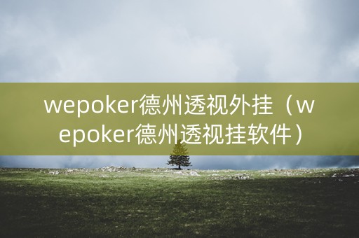 wepoker德州透视外挂（wepoker德州透视挂软件）