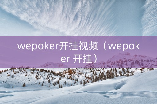 wepoker开挂视频（wepoker 开挂）