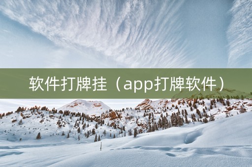 软件打牌挂（app打牌软件）