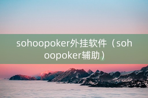 sohoopoker外挂软件（sohoopoker辅助）