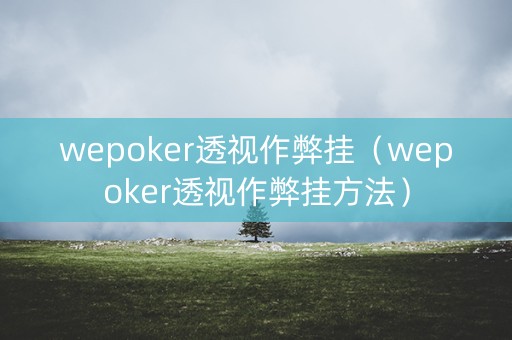 wepoker透视作弊挂（wepoker透视作弊挂方法）